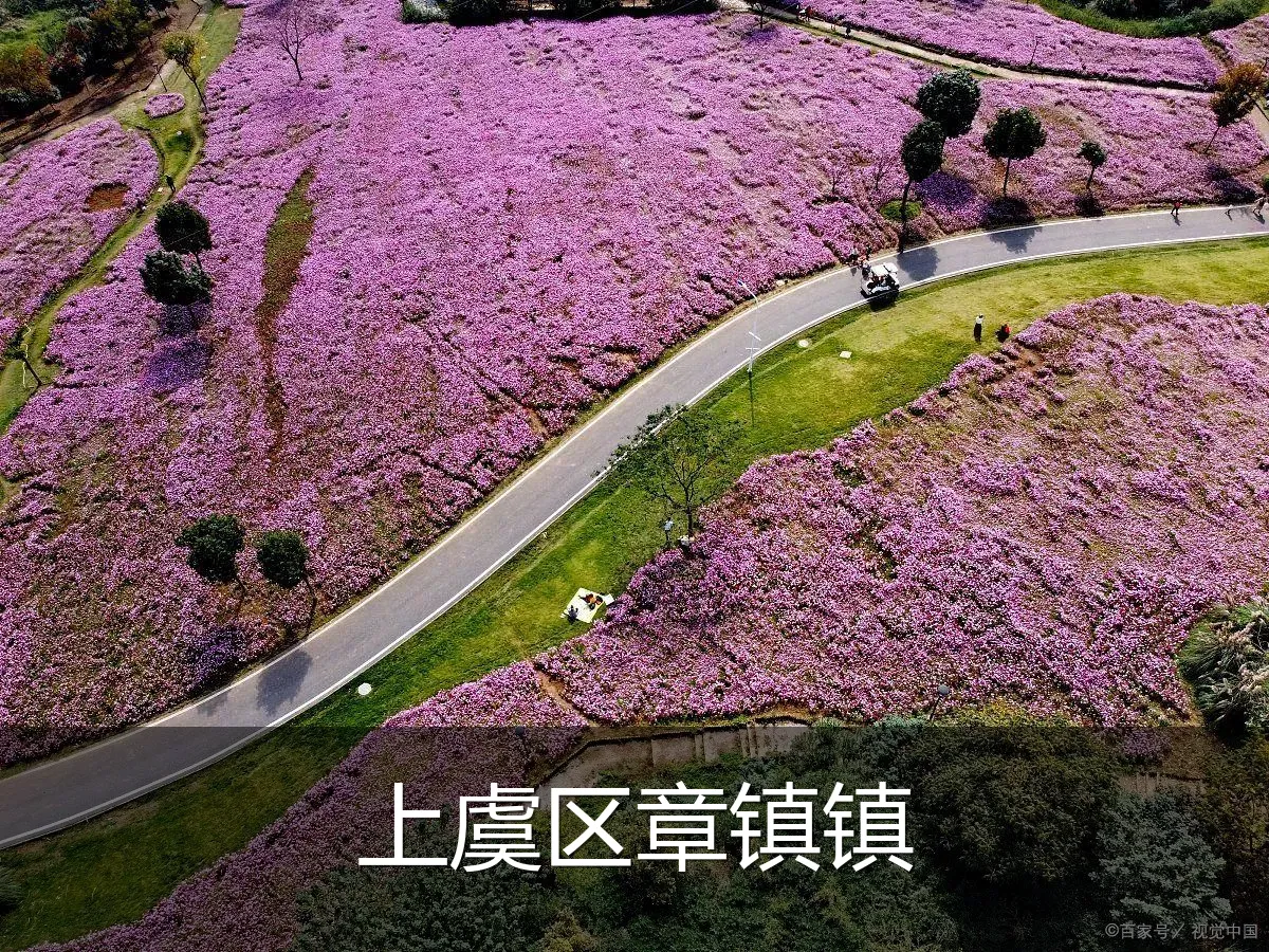 上虞区章镇镇